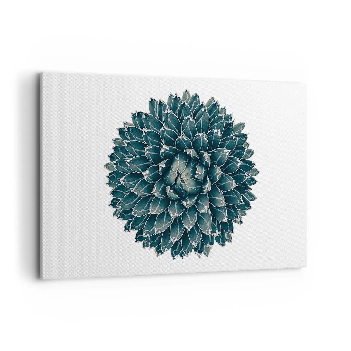 Vászonkép - A sivatag csillaga - 120x80 cm