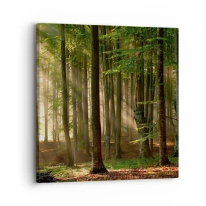 Vászonkép - Ragyogó tavaszi reggelen - 30x30 cm