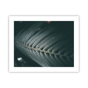 Poszter - A természet pontossága - 50x40 cm