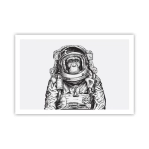 Poszter - Alternatív evolúció - 91x61 cm