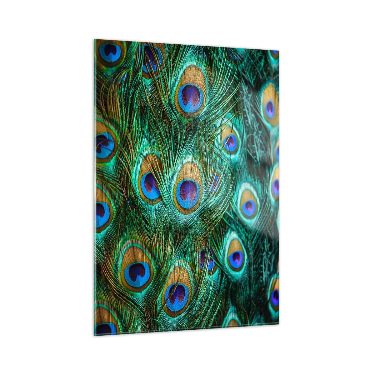 Üveg kép - Pávaszemű pillantás - 50x70 cm
