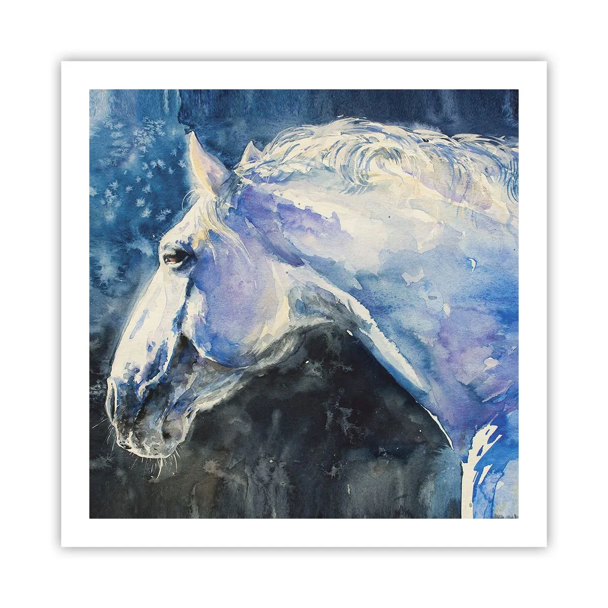 Poszter - Portré kék fényben - 60x60 cm