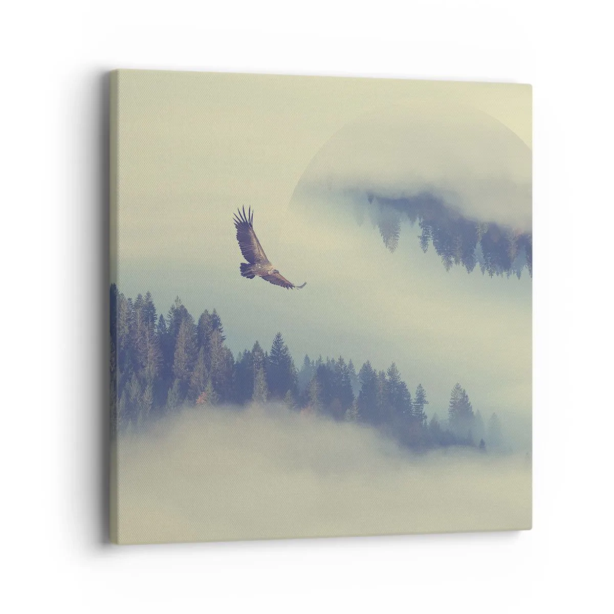 Vászonkép - Láttam egy sas árnyékát - 40x40 cm