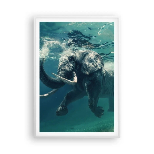 Poszter fekete keretben - Mindenki szeret úszni - 70x100 cm