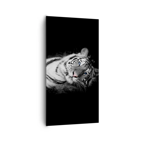 Vászonkép - Vadság és nyugalom - 65x120 cm