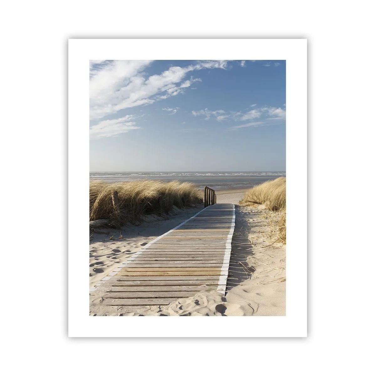 Poszter - A dűne mögött, a fű susogásában - 40x50 cm