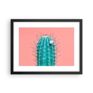 Poszter fehér keretben - Csak nézz - 40x30 cm