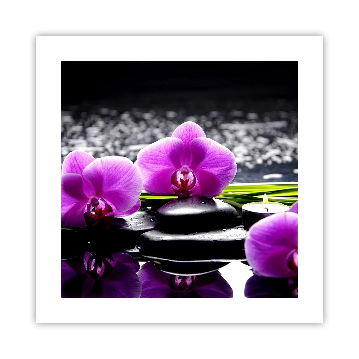 Poszter - Elmerülni a békében és a csendben - 40x40 cm