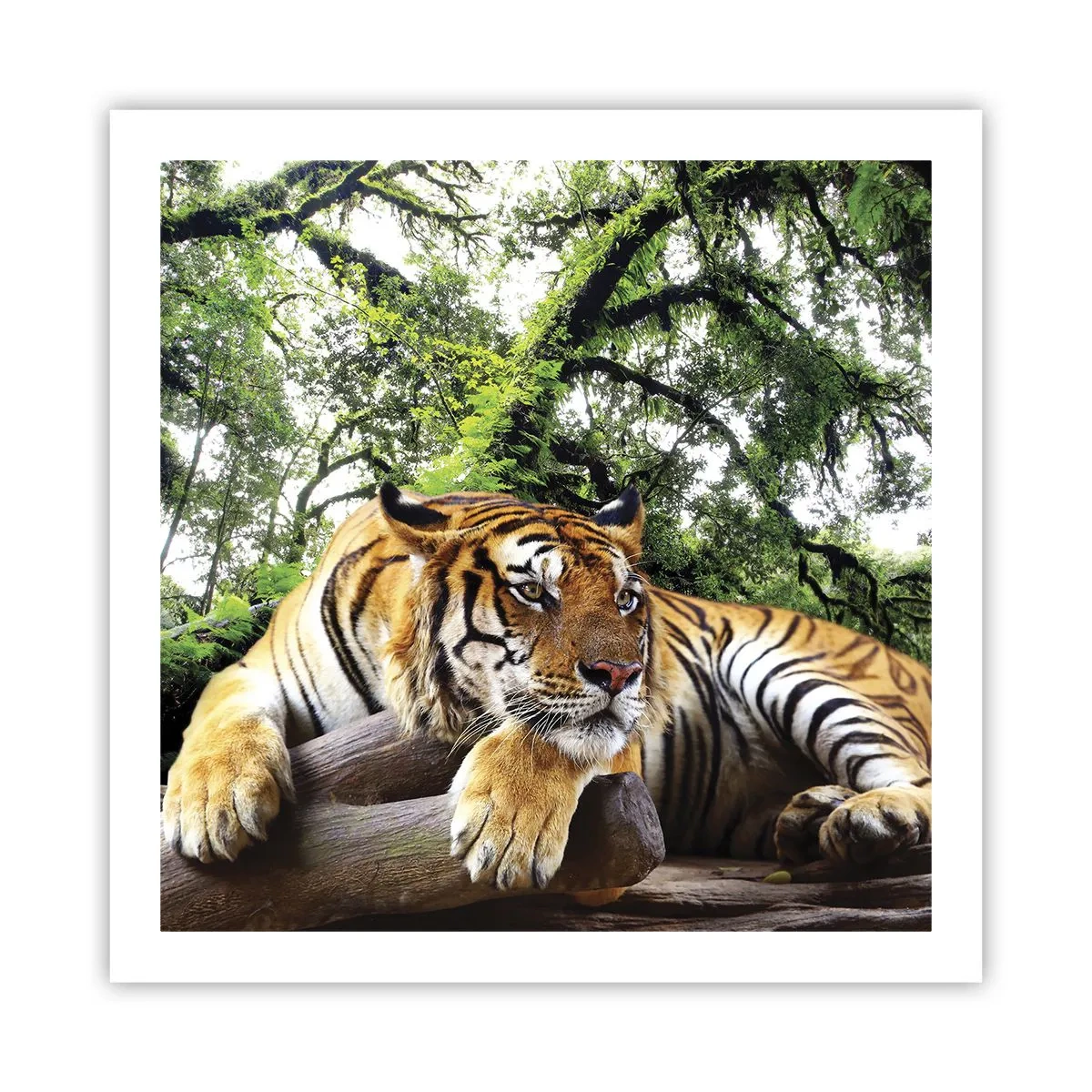 Poszter - Tisztelettel - 60x60 cm