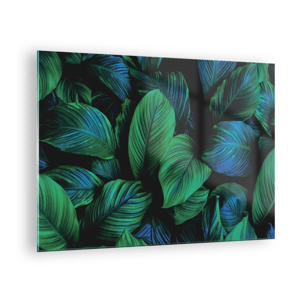 Üveg kép - A zöld tömegben - 70x50 cm