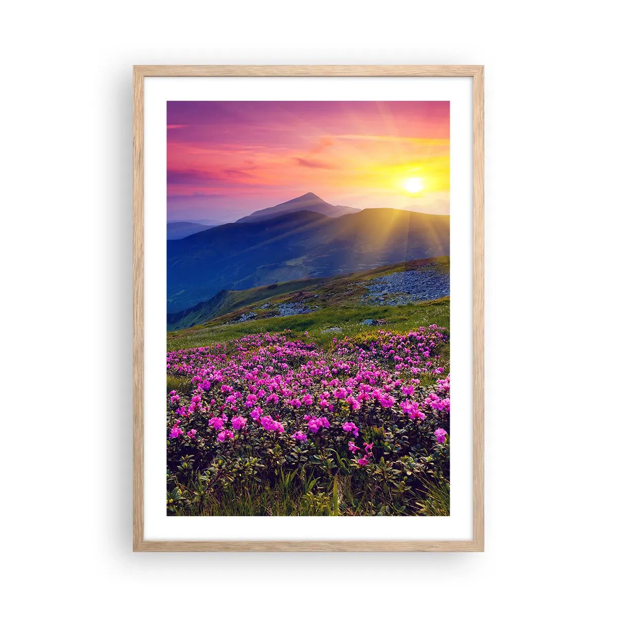 Poszter világos tölgy keretben - … És körülötte hegyi fenyő és gyógynövények illata - 50x70 cm