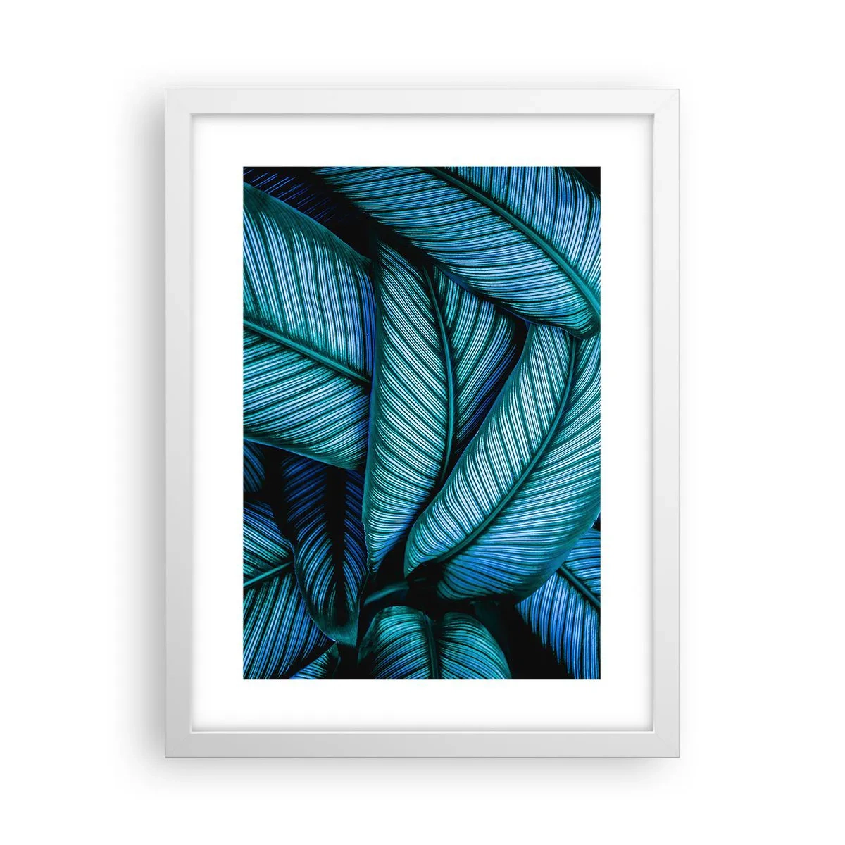 Poszter fekete keretben - Életvonalak - 30x40 cm