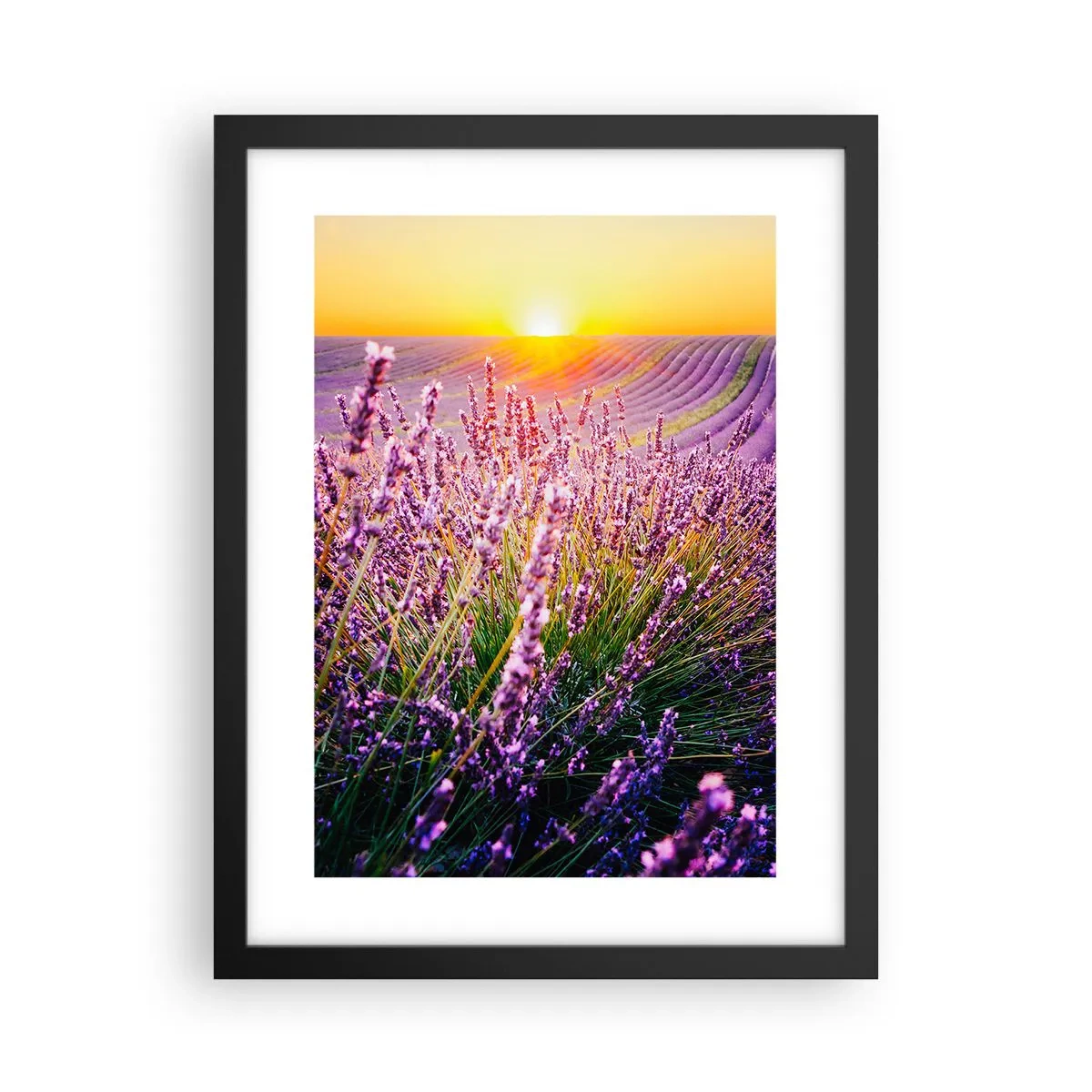 Poszter fehér keretben - Illatos szálak - 30x40 cm