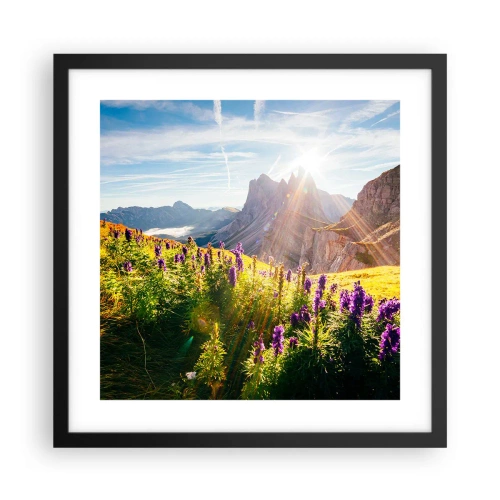 Poszter fehér keretben - A gyógynövények titkos élete - 40x40 cm