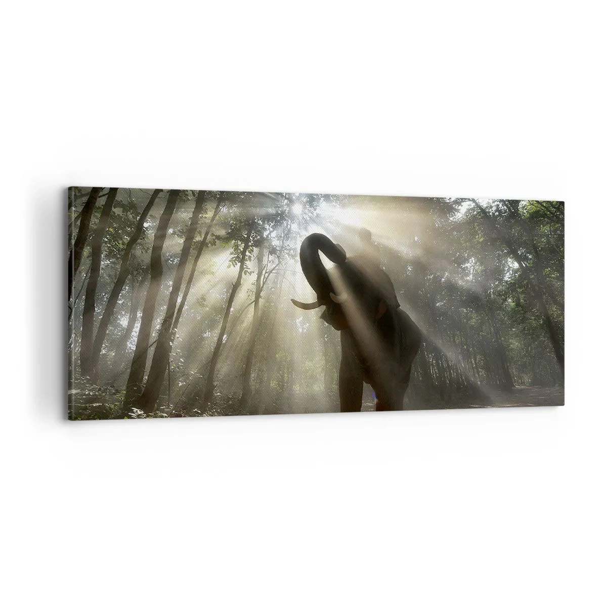 Vászonkép - A szerencsecsillag alatt - 100x40 cm