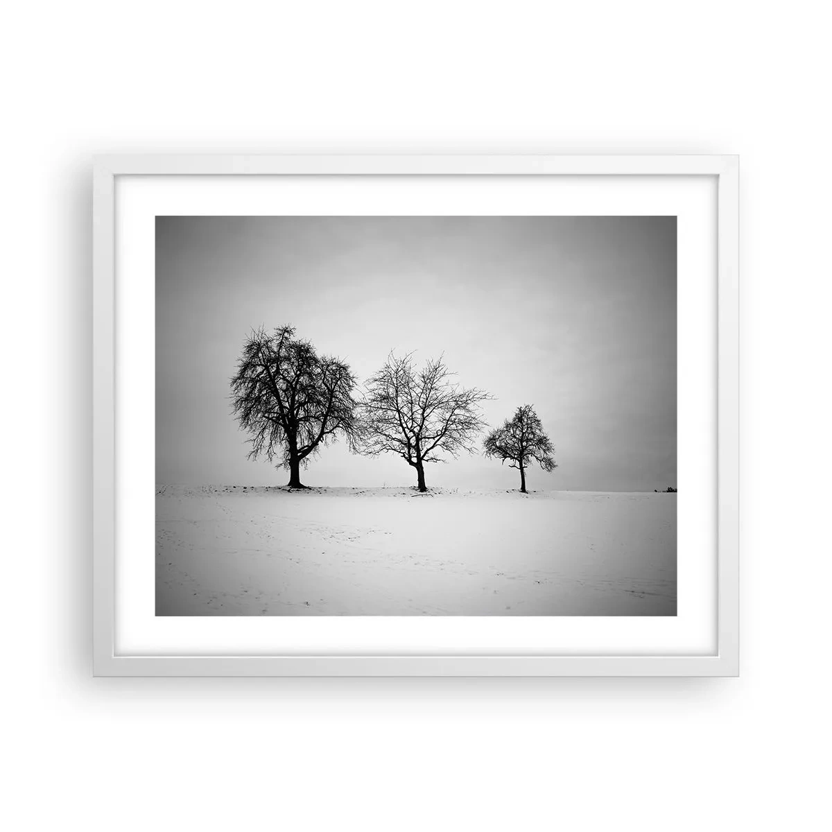 Poszter fekete keretben - Miről álmodoznak? - 50x40 cm