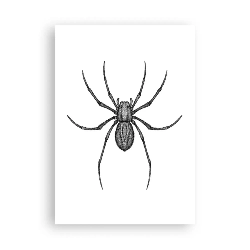 Poszter - Zavaró precizitás - 70x100 cm