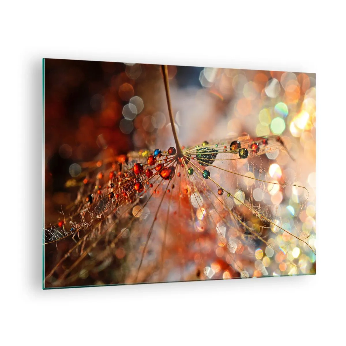 Üveg kép - Vízcseppek egy finom pókhálón bokeh fényben - 70x50cm - Pókszálra fűzve - Modern fali dekoráció nappalihoz és hálószobához ARTTOR
