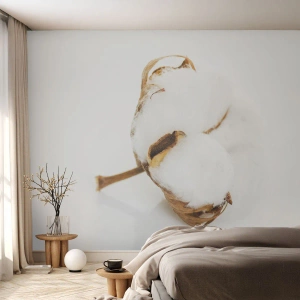 Öntapadós Fotótapéta Deluxe Sticker - Lágy természetű - Pamut, Minimalista, Virág - 150x105 cm