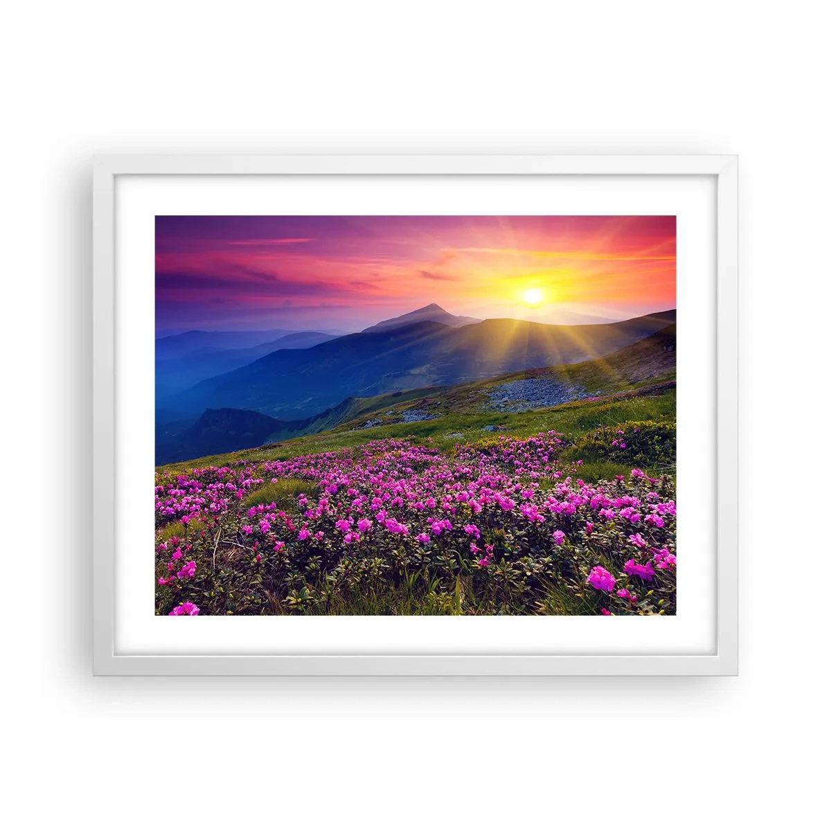 Poszter fekete keretben - … És körülötte hegyi fenyő és gyógynövények illata - 50x40 cm