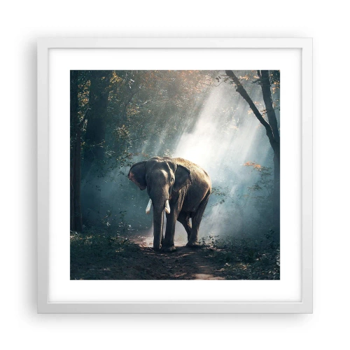 Poszter fekete keretben - Nyugodt séta - 40x40 cm