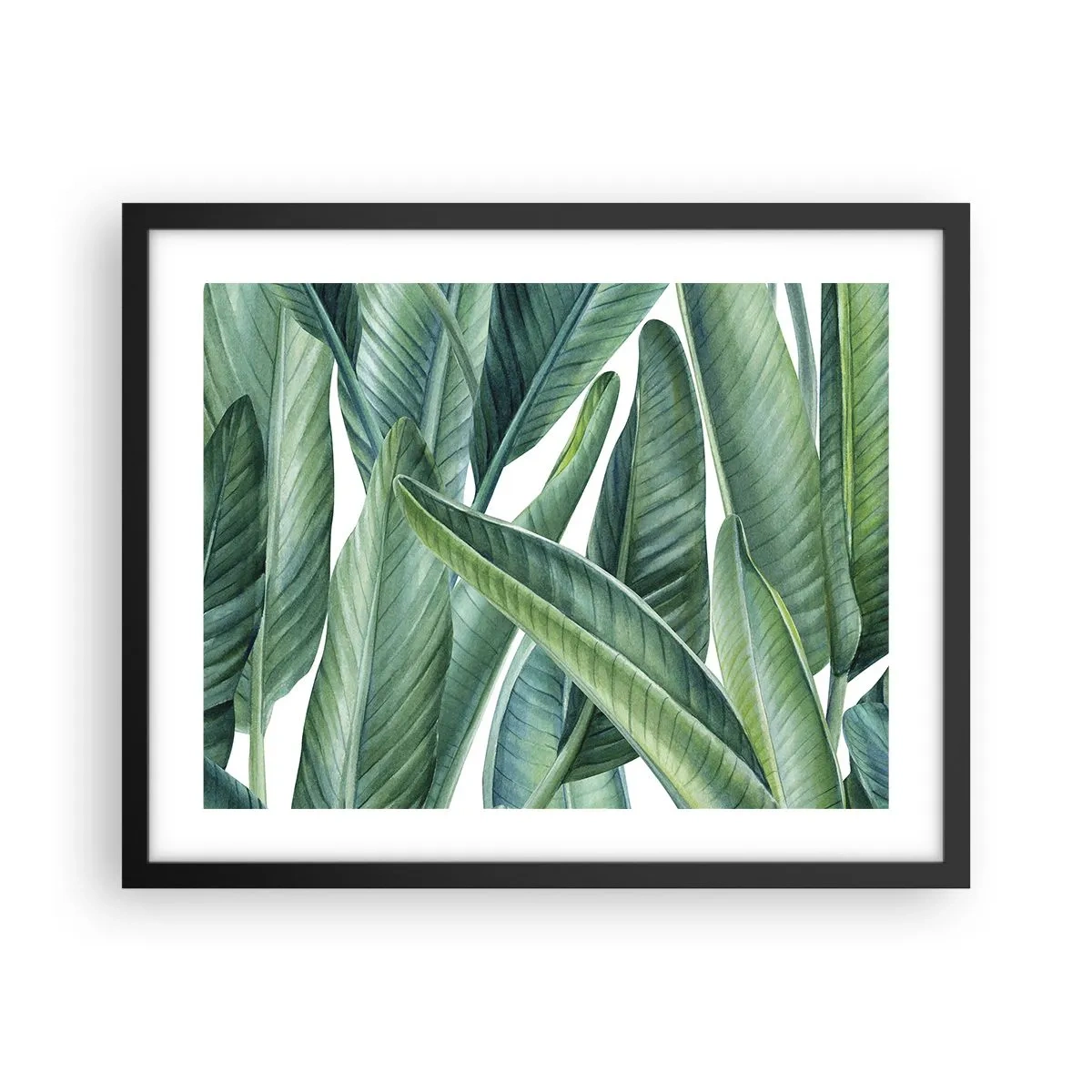 Poszter fehér keretben - Zöld önmagában - 50x40 cm