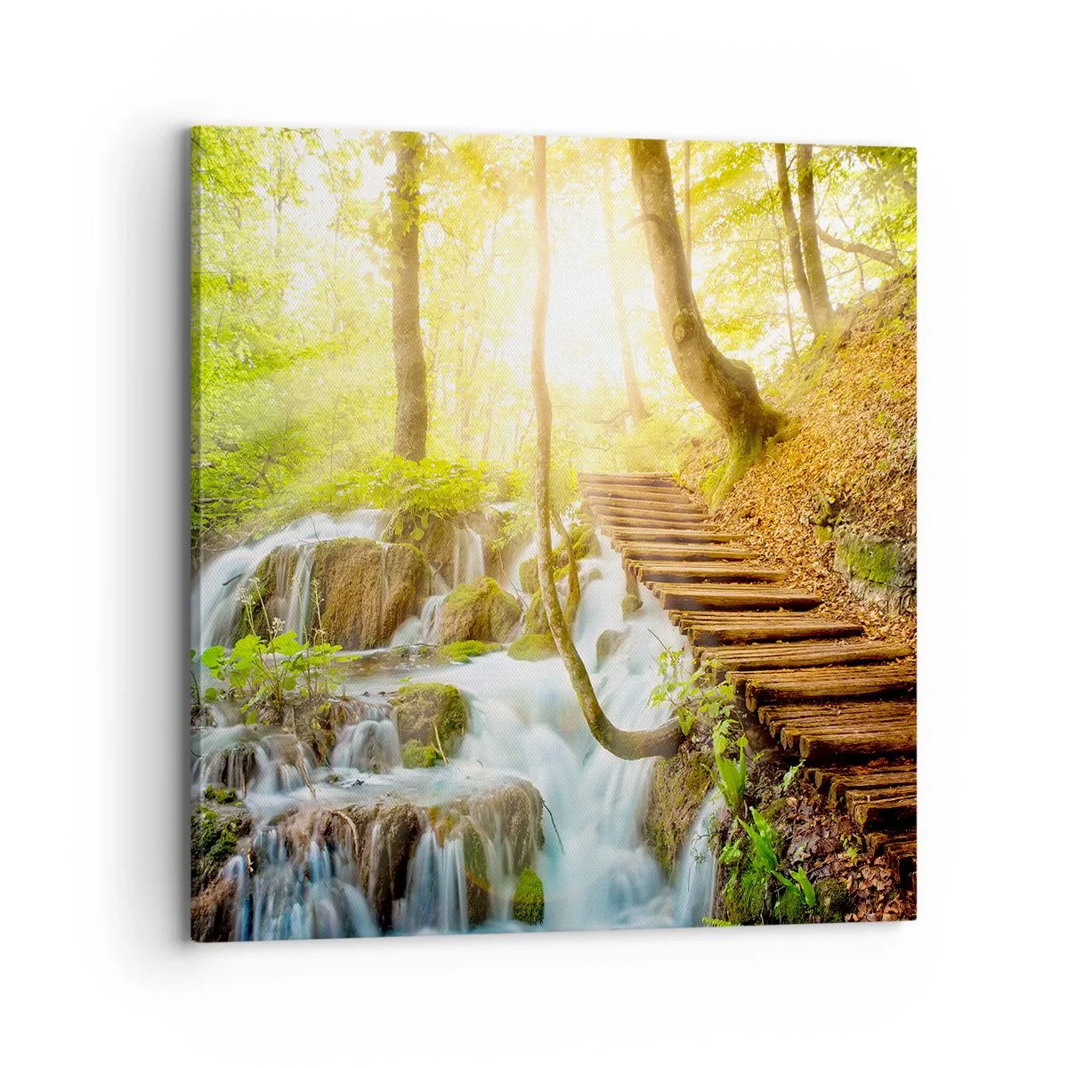 Vászonkép - Vágyott hűs - 70x70 cm