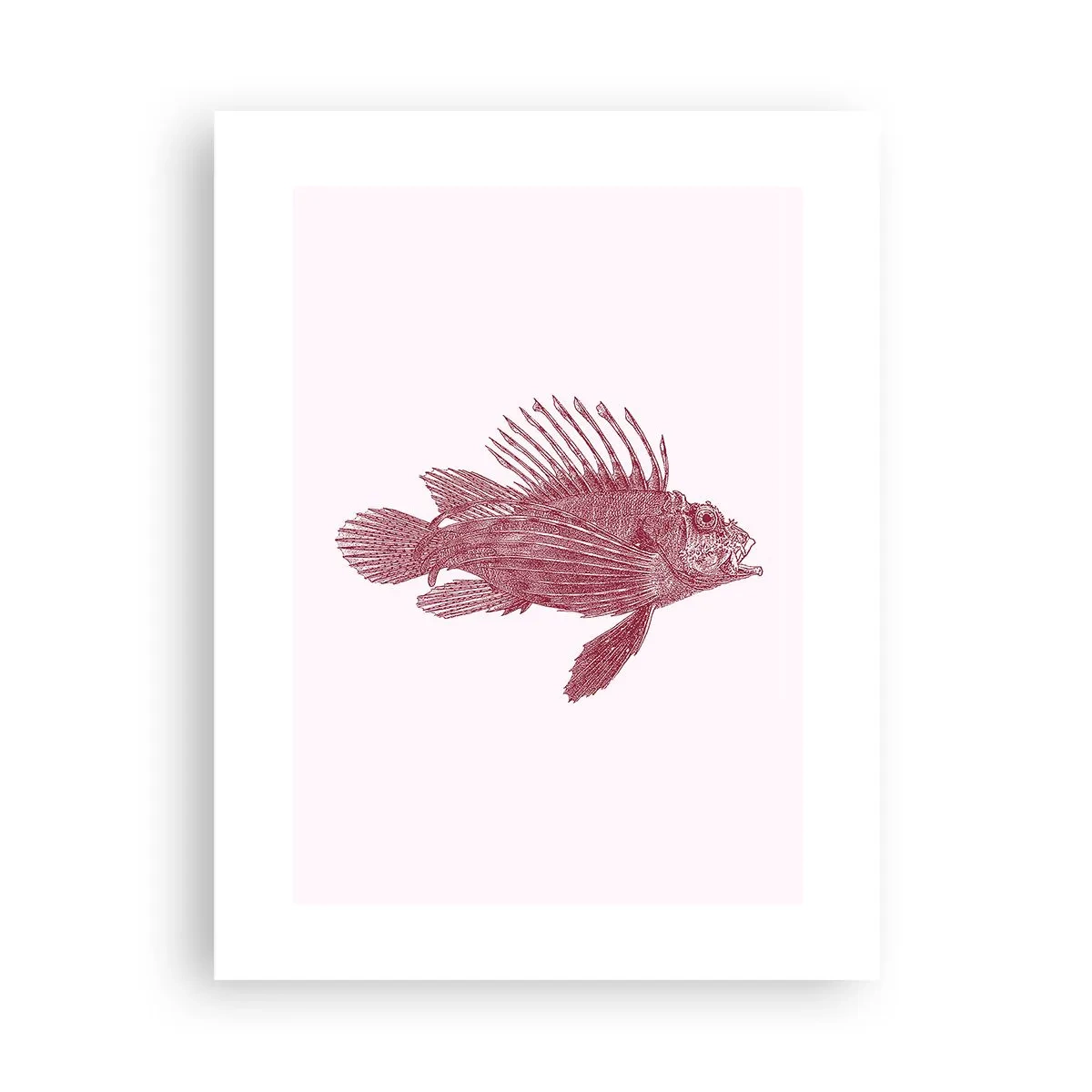 Poszter - Egzotikus vizek lakója - 30x40 cm
