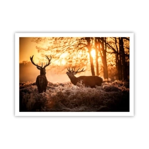 Poszter - Vadász álma - 100x70 cm
