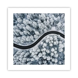 Poszter - A téli erdőn - 40x40 cm