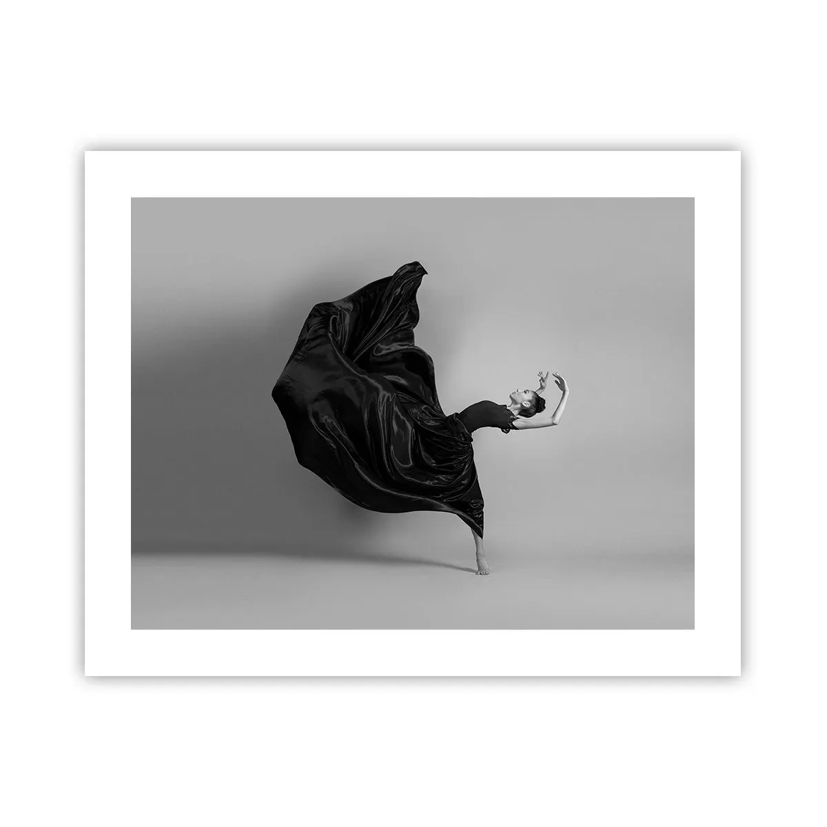 Poszter - Szárnyas zene - 50x40 cm