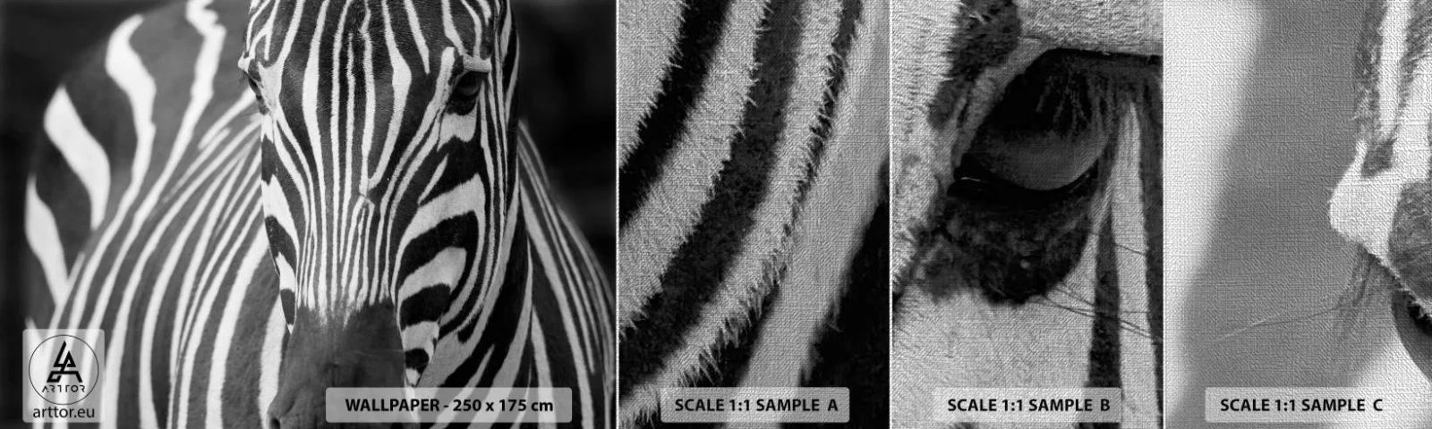 Fotótapéta Minta Premium Canvas - A világ fekete-fehér - Állatok, Borda, Fekete és fehér - 100x30 cm