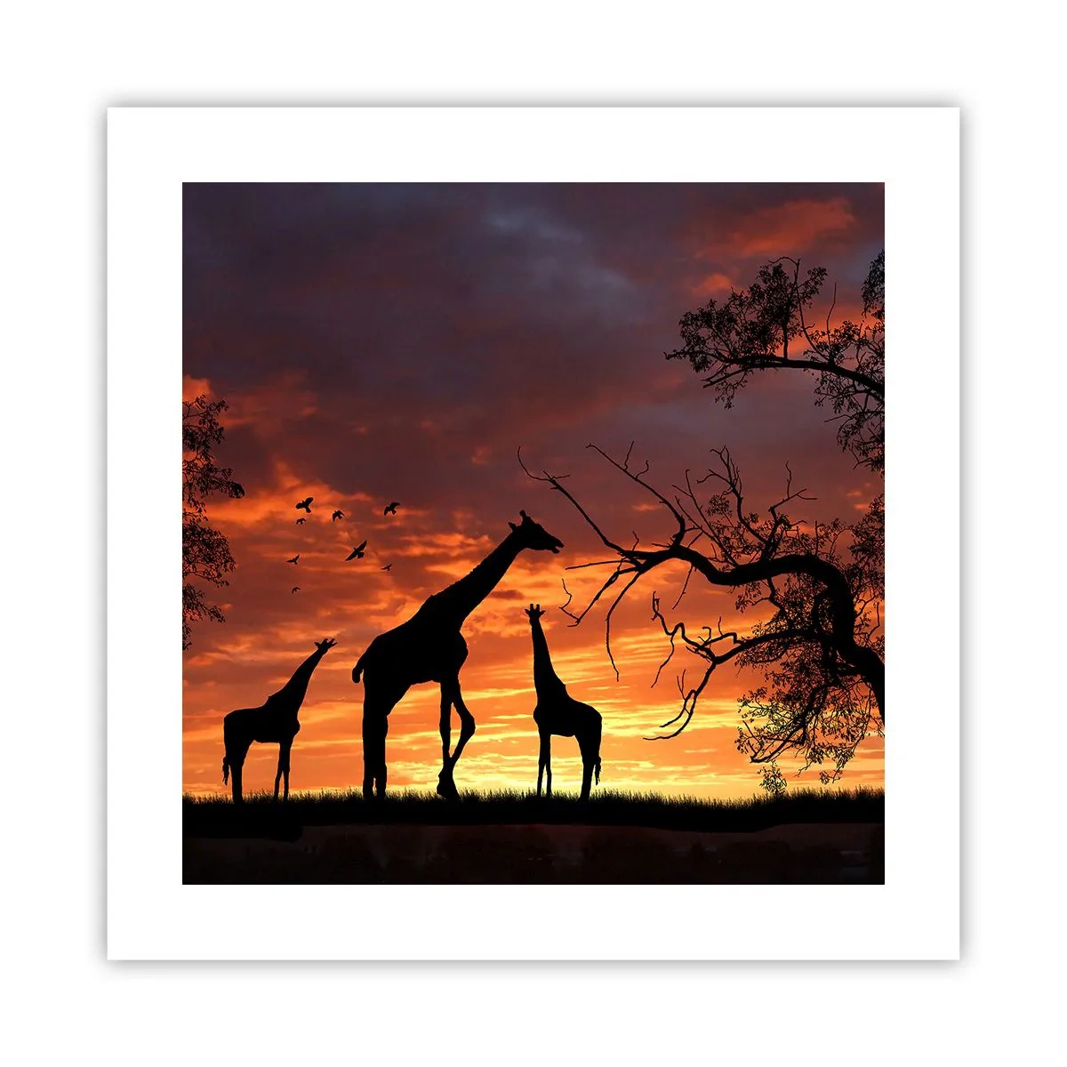 Poszter - Egy kis vacsora szeretteivel - 40x40 cm