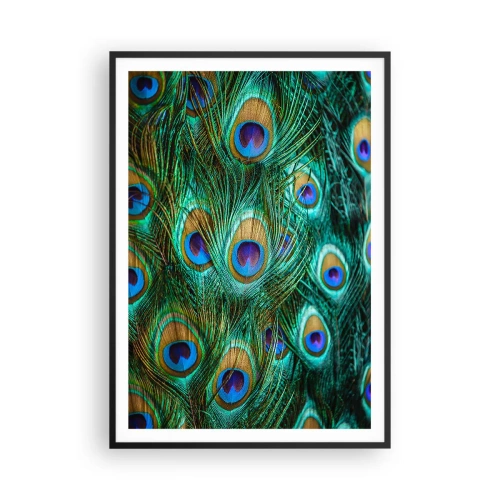 Poszter fehér keretben - Pávaszemű pillantás - 70x100 cm