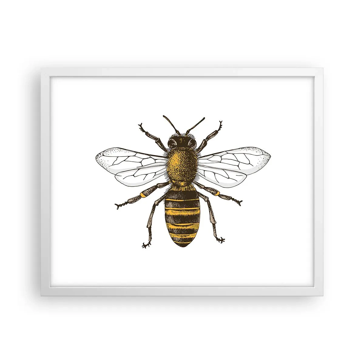 Poszter fekete keretben - Gyönyörű és jó - 50x40 cm