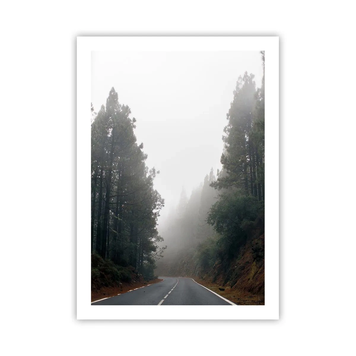 Poszter - Egy varázslatos erdő meséje - 50x70 cm