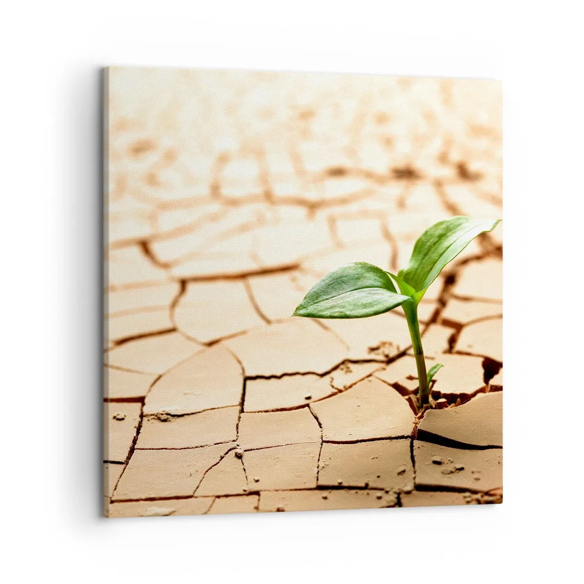 Vászonkép - Az élet fékezhetetlen ereje - 50x50 cm