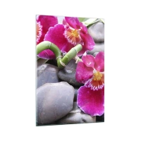 80x120 cm | Függőleges