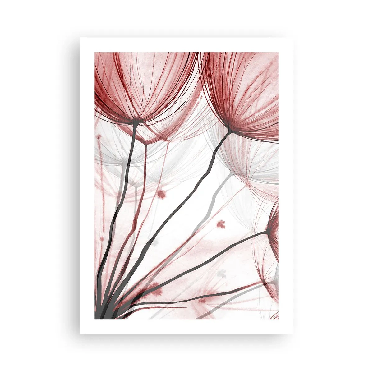 Poszter - Felszállás előtt - 50x70 cm