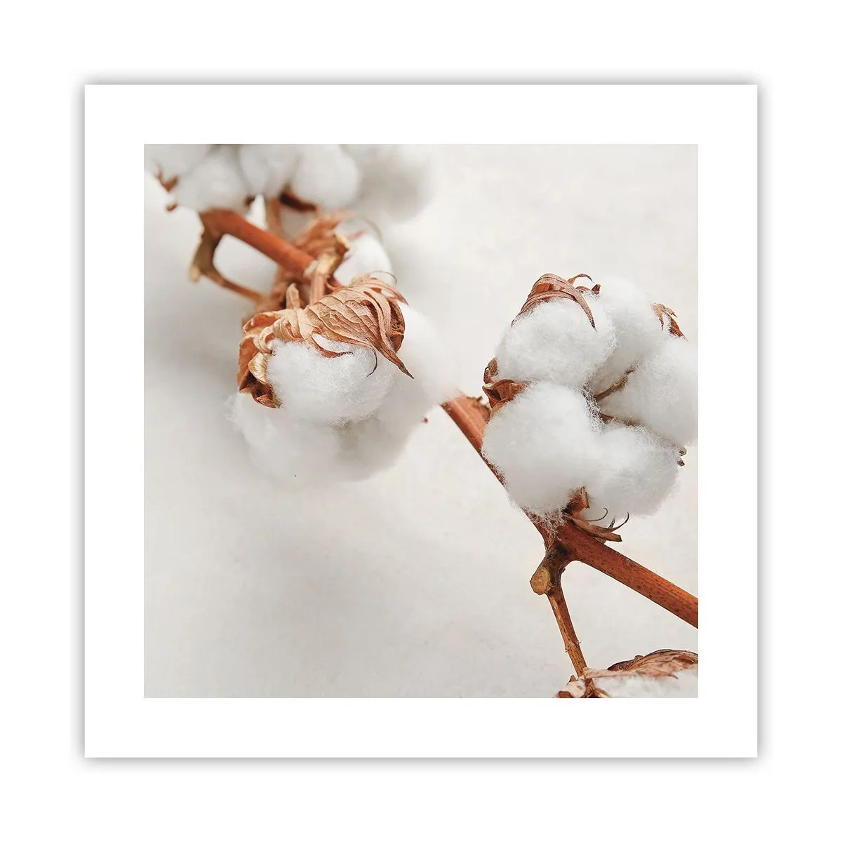 Poszter - Csak ölelkezni - 40x40 cm