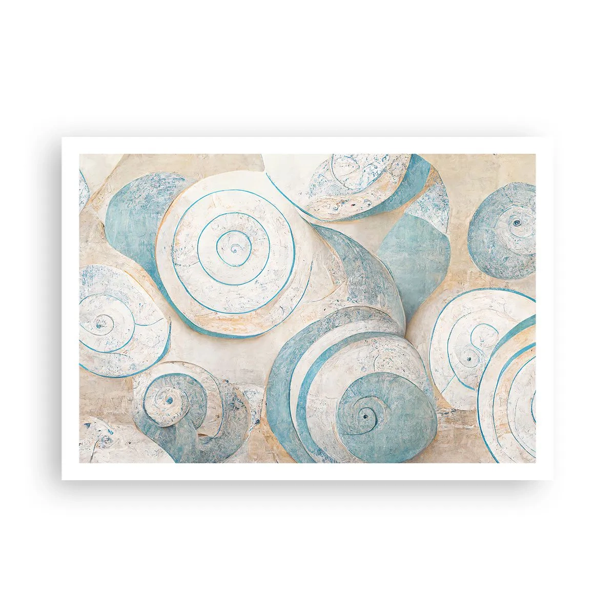 Poszter - Mit rejt a kagyló? - 100x70 cm