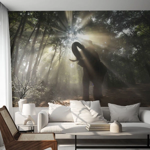 Fotótapéta Premium Canvas - A szerencsecsillag alatt - Tájkép, Elefánt, Dzsungel - 400x280 cm