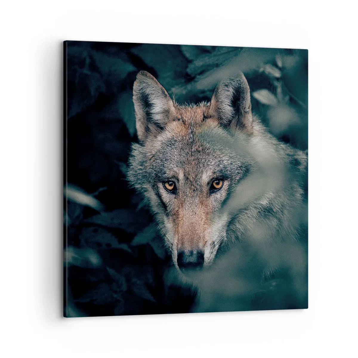 Vászonkép - Vadász - 50x50 cm