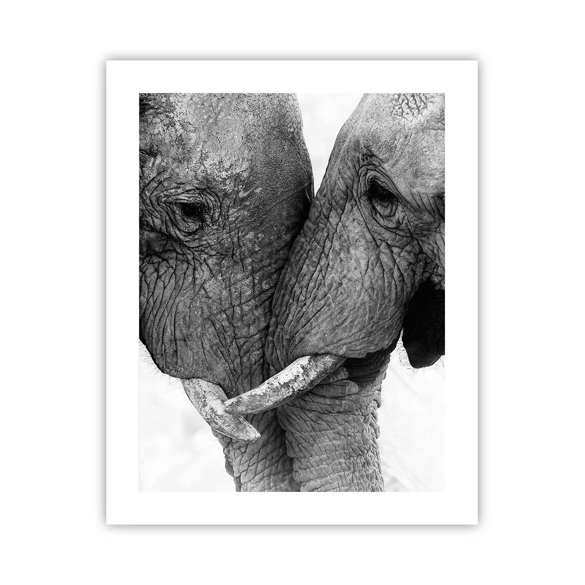 Poszter - Szívélyes vallomás - 40x50 cm