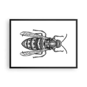 Poszter fehér keretben - Egy rovar bolygóról - 70x50 cm