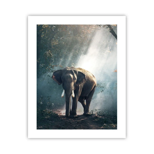 Poszter - Nyugodt séta - 40x50 cm