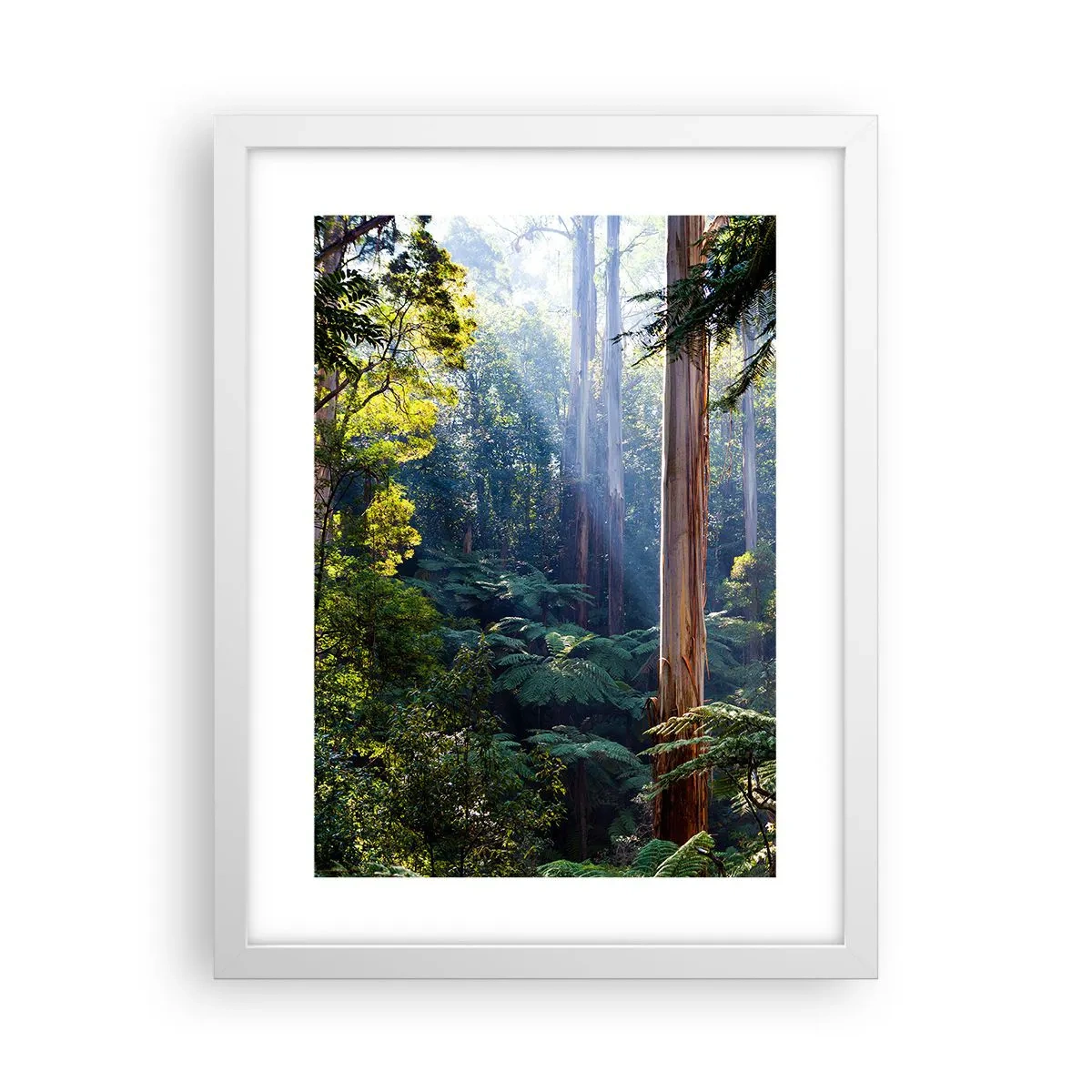 Poszter fekete keretben - Erdei mese - 30x40 cm