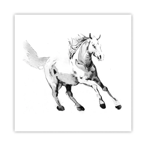 Poszter - Megszelídíthetetlen lélek - 50x50 cm