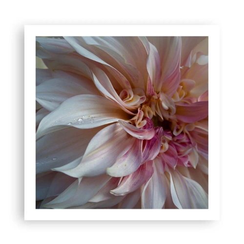 Poszter - Virágzó frissesség - 60x60 cm