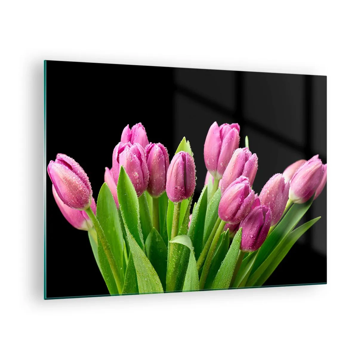 Üveg kép - Egy csokor rózsaszín tulipán, vízcseppekkel borítva, fekete alapon. - 70x50cm - Lila tavaszi öröm - Modern fali dekoráció nappalihoz és hálószobához ARTTOR